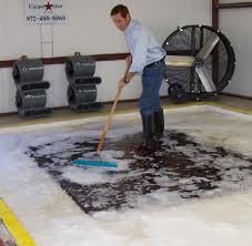 rug cleaning