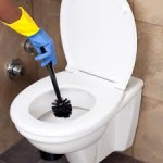 how to clean a toilet