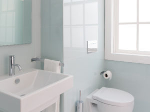 clean toilet